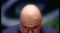 poster-6154-wwf-protection-environnement-mother-earth-236x132