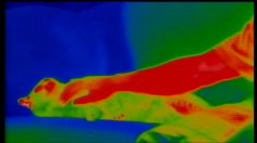 poster-6156-haagen-dazs-dedicated-to-pleasure-236x132