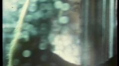 poster-6178-carven-guirlandes-valerie-kaprisky-236x132