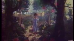 poster-621-krema-fruitidou-alice-au-pays-de-krema-236x132