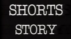 poster-6211-boxer-shorts-femmes-facon-hommes-236x132