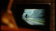 poster-6309-edf-electricite-le-mainate-236x132