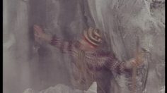 poster-6311-volkswagen-coccinelle-escalade-236x132