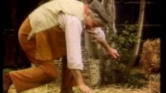 poster-6338-rai-haystack-236x132