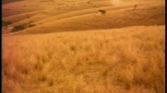 poster-6347-onu-united-nations-cell-236x132