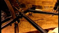 poster-6415-protection-animaux-yard-236x132