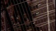 poster-6416-anti-exclusion-les-handicapes-les-barrieres-236x132