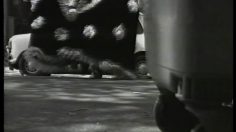 poster-6417-tmb-metro-de-madrid-tricycle-236x132