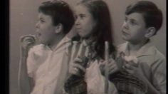 poster-6430-shell-shell-ou-pas-shell-236x132