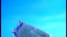 poster-6435-energizer-piles-savon-236x132