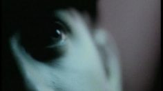 poster-6475-polaroid-police-236x132