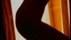 poster-6484-boisvert-lesbiennes-236x132