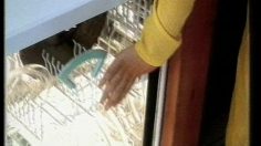 poster-6494-ariston-lave-vaisselle-l-assiette-236x132