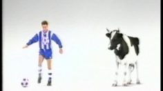 poster-6496-collective-du-lait-footballeur-la-vache-236x132