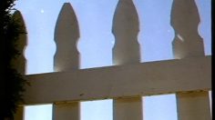 poster-6508-lee-jeans-dandelion-236x132