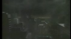 poster-6529-budweiser-hamster-236x132