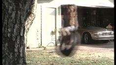 poster-654-nascar-tire-swing-236x132