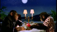 poster-6540-omo-lessive-le-seducteur-34-236x132