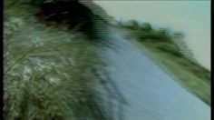 poster-6545-protection-animaux-swim-236x132