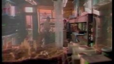 poster-6546-southwestern-bell-piranha-236x132