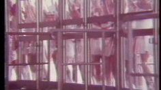 poster-6573-krema-le-magasin-236x132