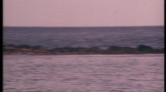 poster-6583-croix-rouge-protection-environnement-s-o-s-bretagne-236x132