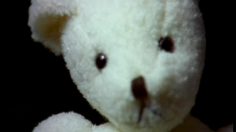 poster-6623-anti-exclusion-anti-mines-ours-en-peluche-236x132