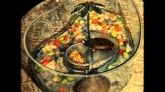 poster-6625-anti-pauvrete-anti-exclusion-diapositives-236x132