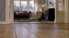 poster-663-postbank-hoover-236x132