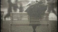 poster-6638-croix-rouge-park-236x132