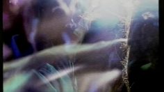 poster-6642-vodafone-techno-236x132