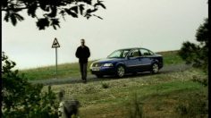 poster-665-volkswagen-passat-taxi-for-dog-236x132