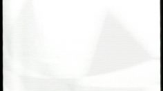 poster-6654-real-club-deportivo-parakeets-236x132