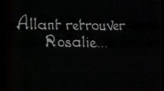 poster-6662-lion-noir-cirage-changement-a-vue-236x132