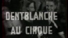poster-6663-colgate-dent-blanche-au-cirque-236x132