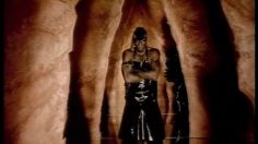 poster-6692-lion-barre-fete-bestiaire-236x132