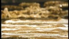 poster-67-pond-s-diner-236x132