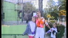 poster-6718-centraal-beheer-gorille-236x132