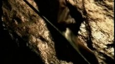 poster-6742-mastercard-eurocard-alpiniste-236x132