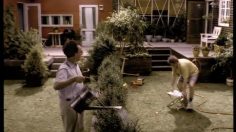 poster-6788-ikea-neighbourgs-236x132