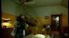 poster-6805-maaf-assurances-le-caribou-236x132