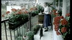 poster-682-bacardi-breezer-le-chat-236x132