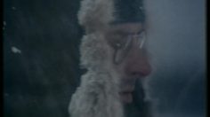 poster-6823-humex-fournier-les-loups-236x132