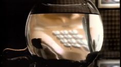 poster-6838-anti-exclusion-sos-suicide-personne-236x132