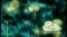 poster-6840-reebok-dmx-ato-boldon-236x132