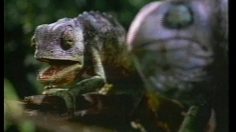 poster-6841-budweiser-assassiner-feliciter-236x132