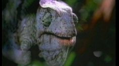 poster-6843-budweiser-rumeurs-236x132