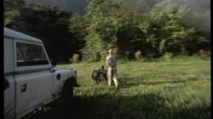 poster-6846-pepsi-chimps-236x132