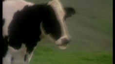 poster-6852-kemp-s-creme-glacee-chant-236x132