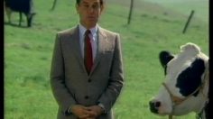 poster-6854-kemp-s-creme-glacee-la-vache-de-new-york-236x132